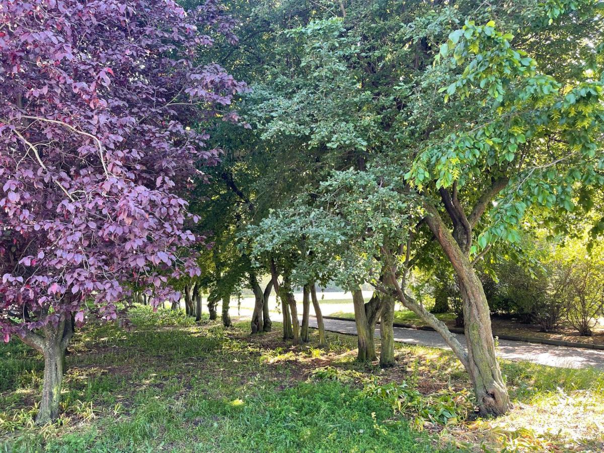 דירות Apartament Przy Plazy Gdynia Centrum מראה חיצוני תמונה